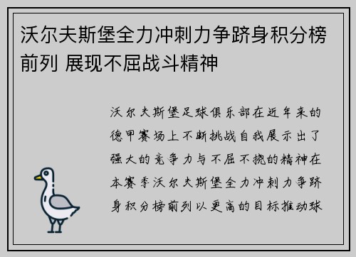 沃尔夫斯堡全力冲刺力争跻身积分榜前列 展现不屈战斗精神